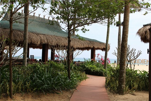 百世德咖啡火热中