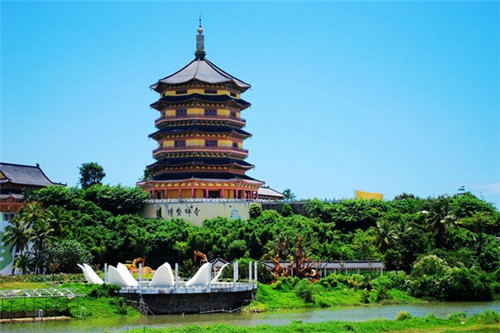 为什么景区没有奶茶店