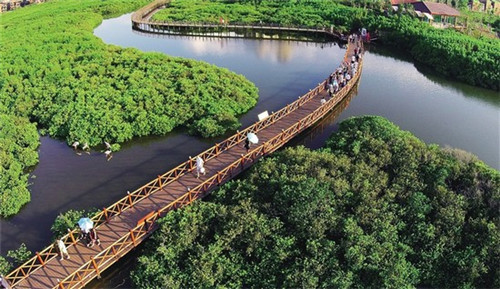 烤度烤吧加盟费要多少