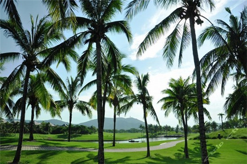 摊位小吃加盟费多少