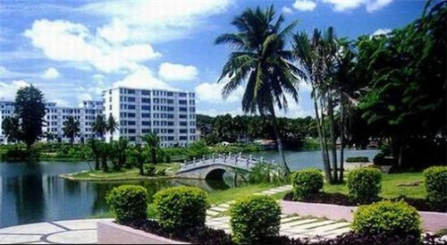 胡歌说的恐龙是什么（胡歌说的恐龙是什么龙）