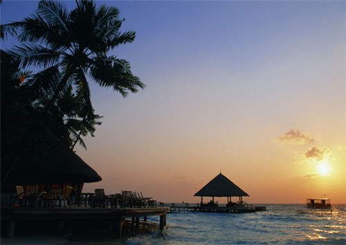 上柏树村旅游景点（上柏树村旅游景点介绍）