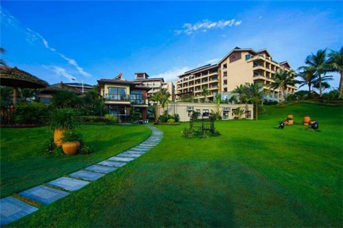 西红柿酸菜炒猪血的做法（西红柿炒猪血的做法大全家常）