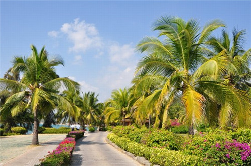 景点付费链接是什么（景点付费链接是什么软件）